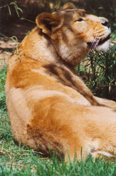 jjw922928