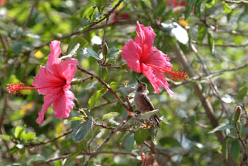 jjw040161