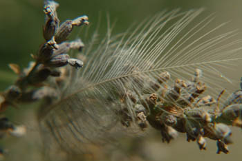 jjw040156