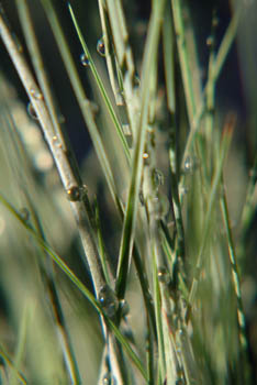 jjw040180