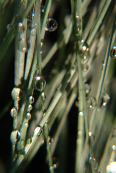 jjw040181