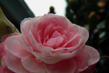 jjw040107a