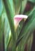 jjw002004br21