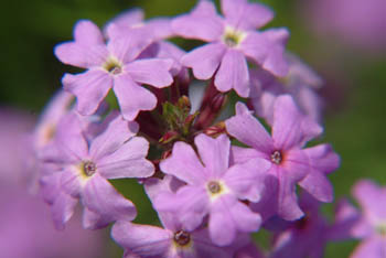 jjw040128