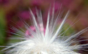 jjw040164