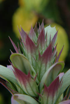 jjw040178