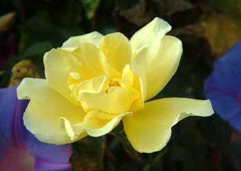 jjw040115a