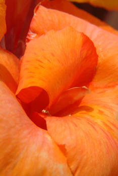 jjw040130