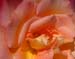 jjw040116a