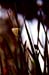 jjw920908a