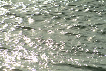 jjw040122