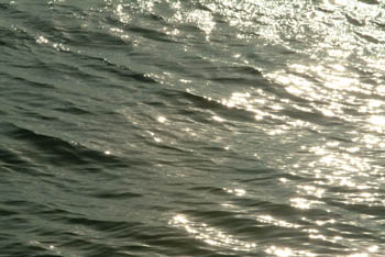 jjw040135.jpg