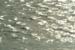jjw040133.jpg