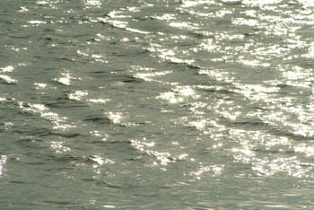 jjw040133.jpg
