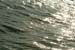 jjw040135.jpg